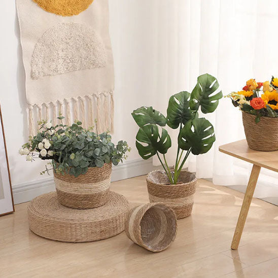 paniers rotin cache pot plantes vertes decoration salon lumineux