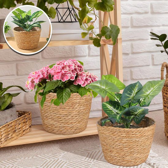 cache pot en osier rotin plante decoration