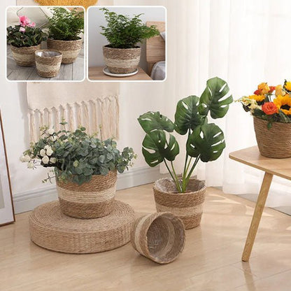 cache pot en osier rotin plantes interieur