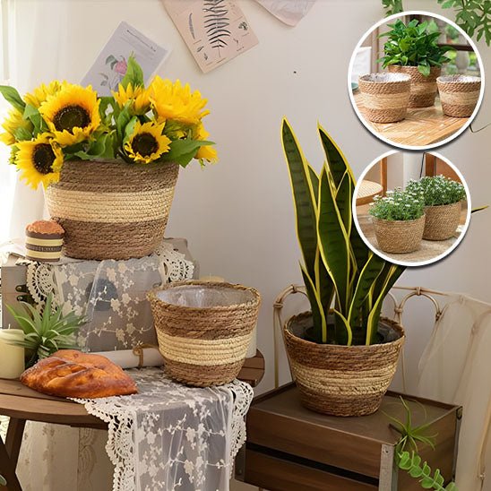 cache pot en osier rotin tournesols plantes