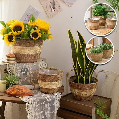 cache pot en osier rotin tournesols plantes