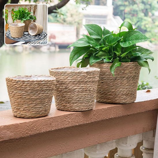 cache pot en osier set rotin trois tailles