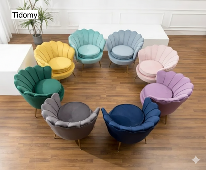 chaise de salon cercle de fauteuils coquille multicolores