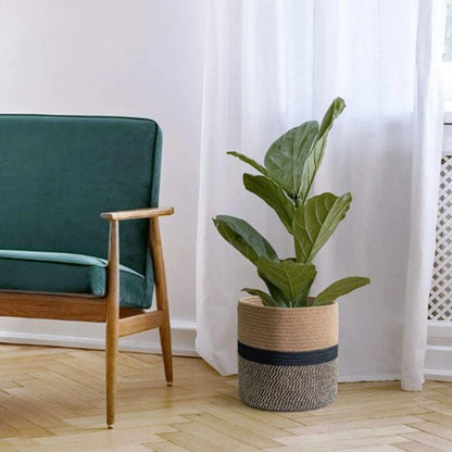 fiddle leaf fig cache pot panier tresse deco scandinave fauteuil vert
