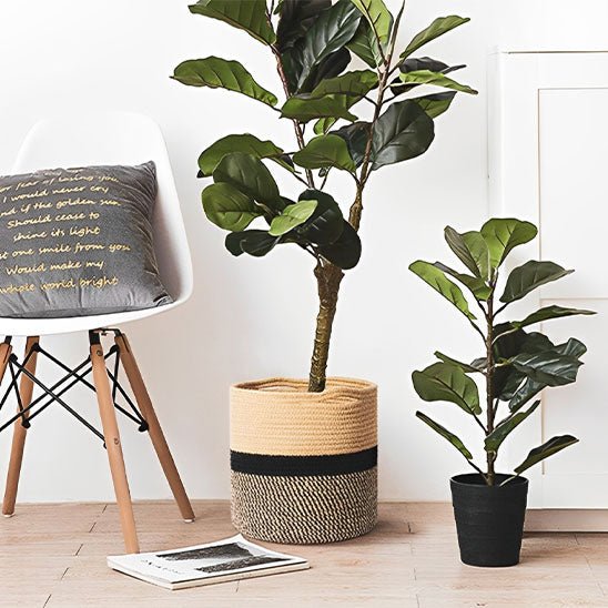grand ficus cache pot corde naturel petit ficus cache pot noir