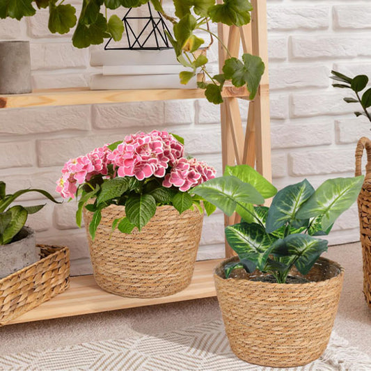 hortensia rose cache pot rotin plante verte cache pot rotin