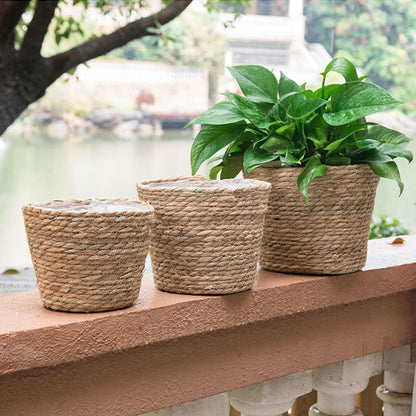 paniers rotin cache pot exterieur plante verte bord lac