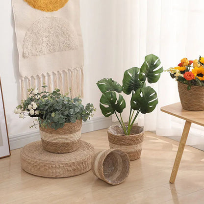 paniers rotin cache pot plantes vertes decoration salon lumineux