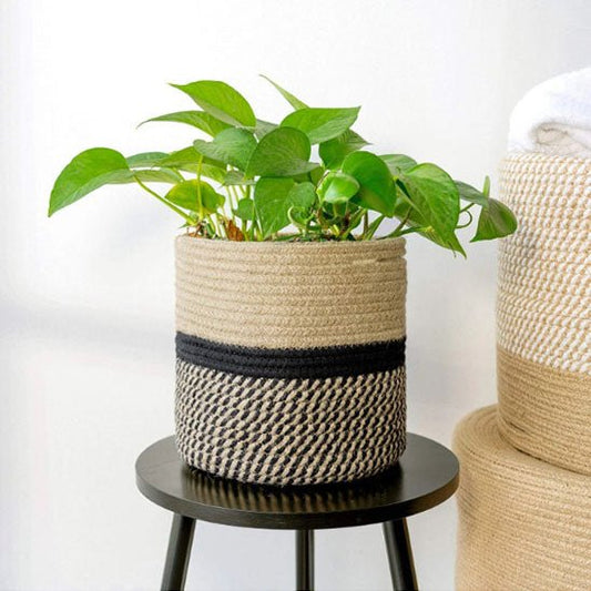 plante verte cache pot tresse beige noir tabouret