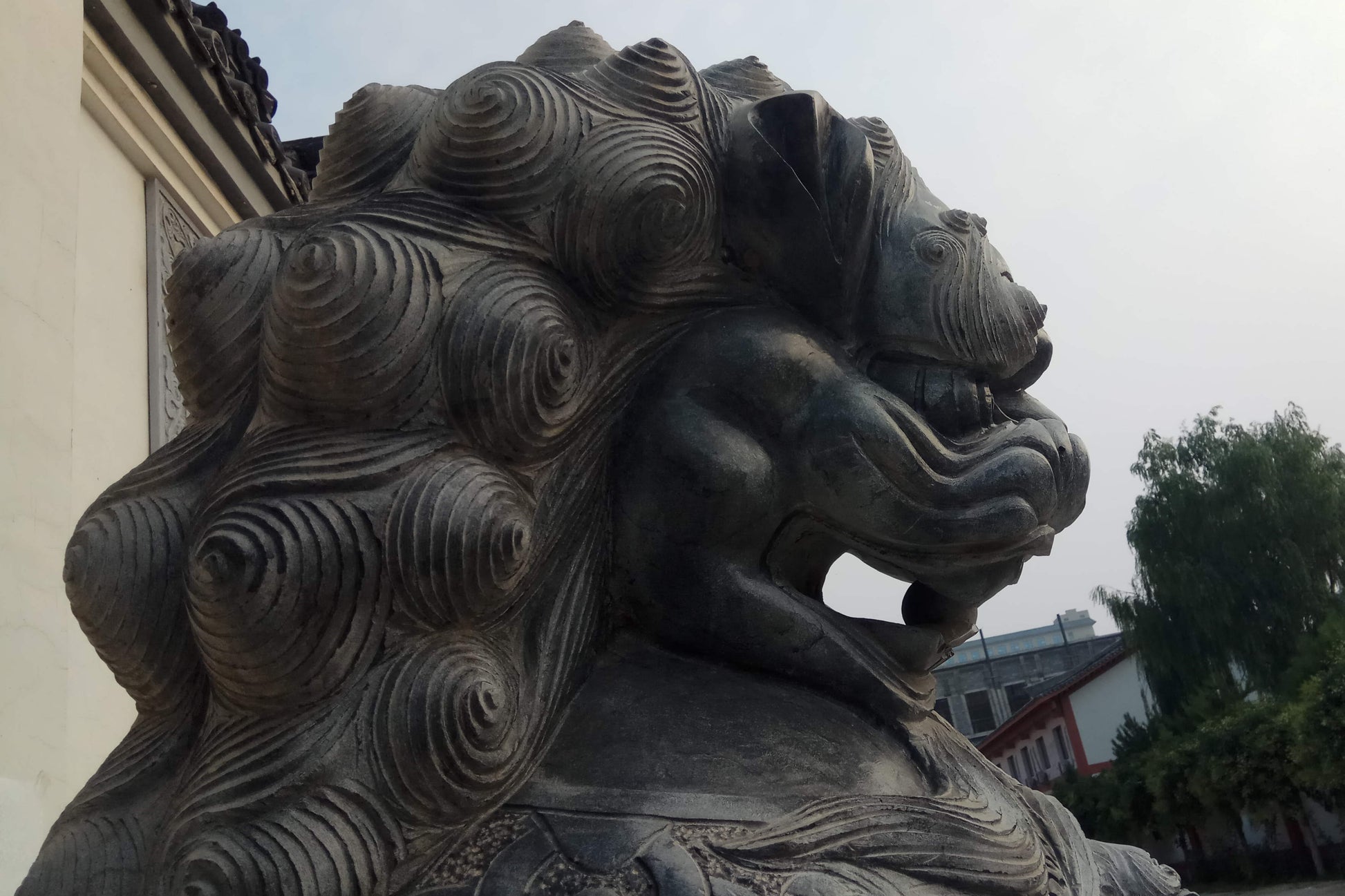 sculpture lion gardien chinois profil criniere en spirales